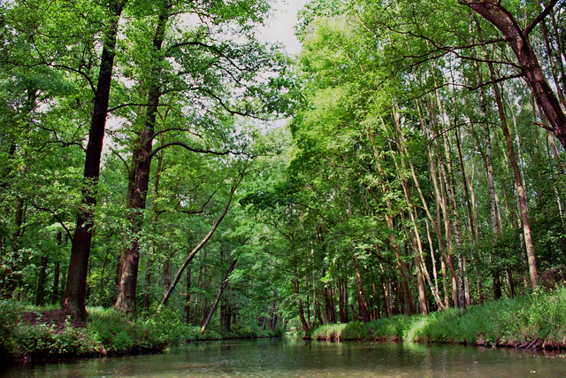 Brandenburg Şehrinin Fotoğrafı